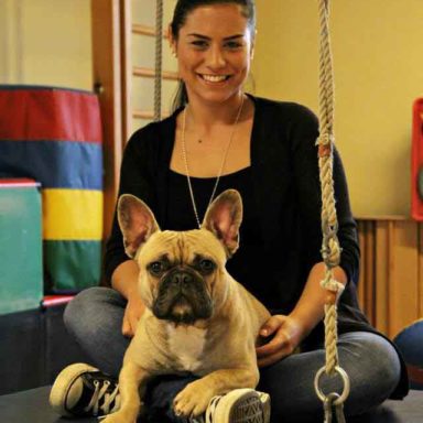 Hundetrainerin mit Hund auf dem Schoss