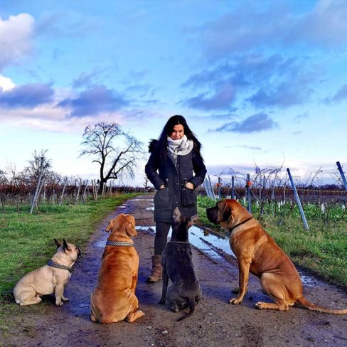Hundetrainerin mit vier Hunden die vor ihr sitzen