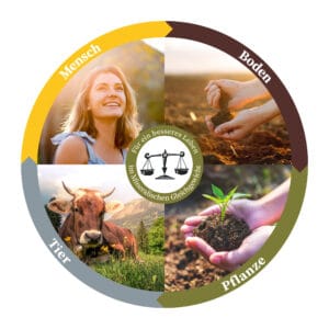 Mineralisches Gleichgewicht Reico