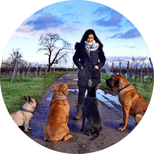 Hundetraining Meckenheim