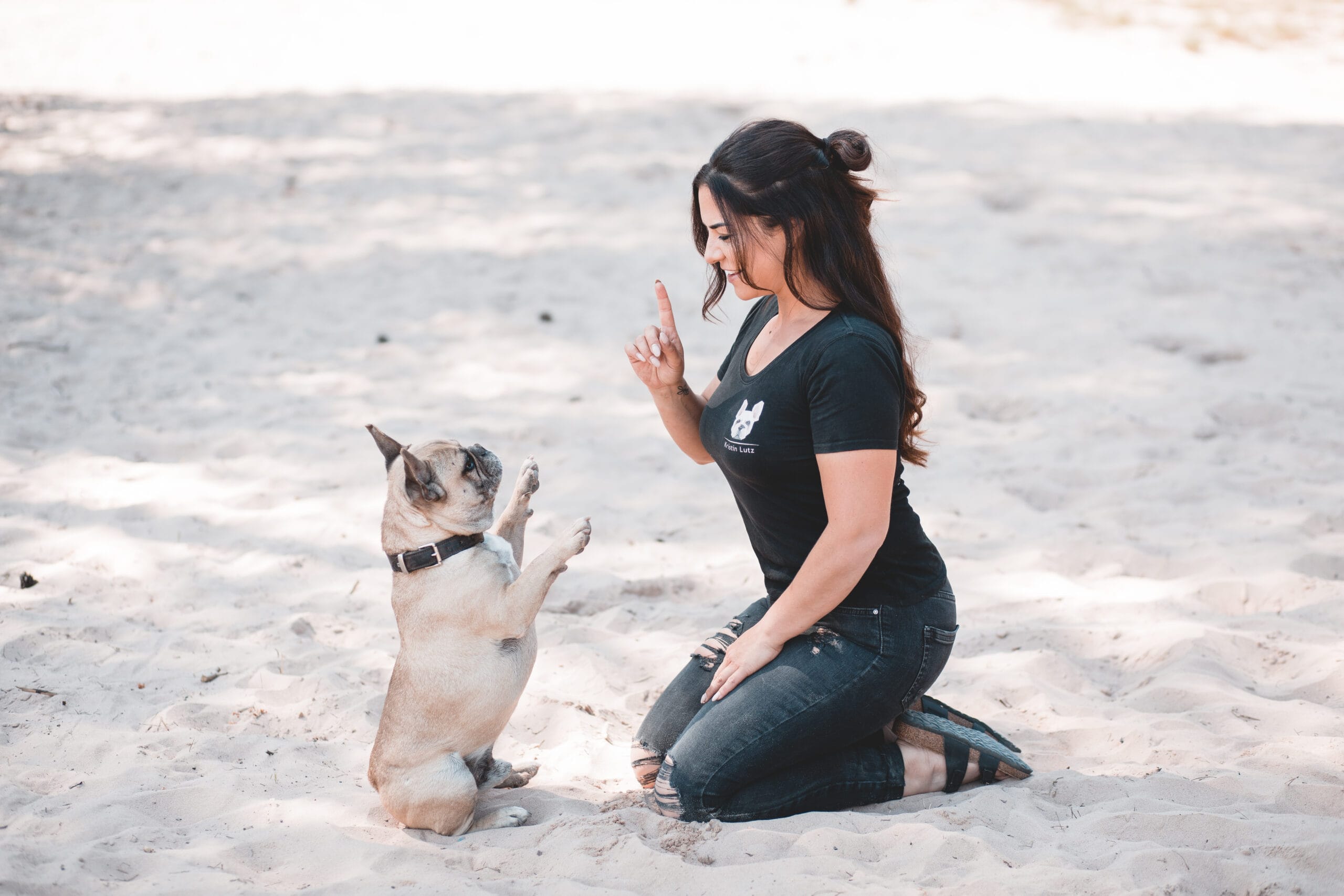 Hundetraining in Meckenheim